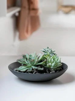 Porseleinen serveerschaal Manufacture Rock^Villeroy & Boch Online