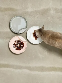 Porseleinen voerbakje Plate^Hoopo Best