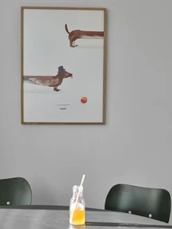 Poster Doug the Dachshund^MADO Best
