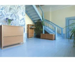 Schoenenkast NewEst met 2 vouwvakken^Woodman Online