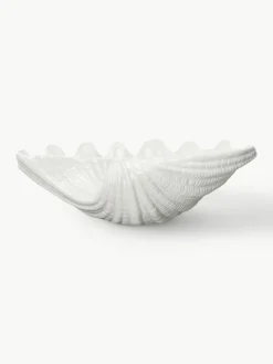 Serveerschaal Shell van dolomiet in schelp vorm^Byon Hot