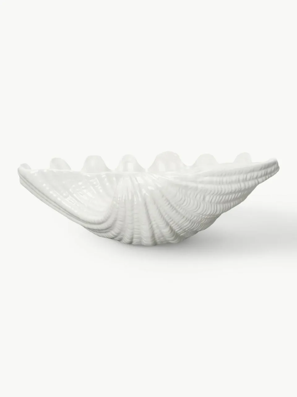 Serveerschaal Shell van dolomiet in schelp vorm^Byon Hot