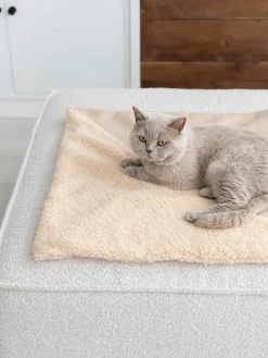 Teddy kattendeken Tri^Hoopo Fashion