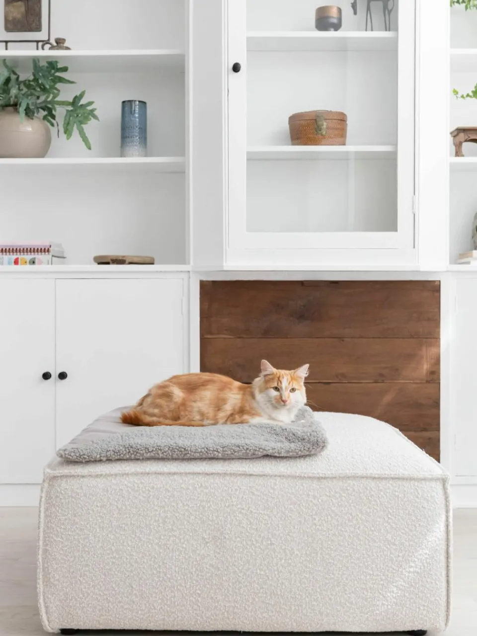 Teddy kattendeken Tri^Hoopo New