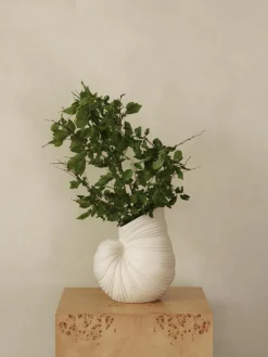 Vaas Shell in schelpenvorm, H 27 cm^ferm LIVING Best