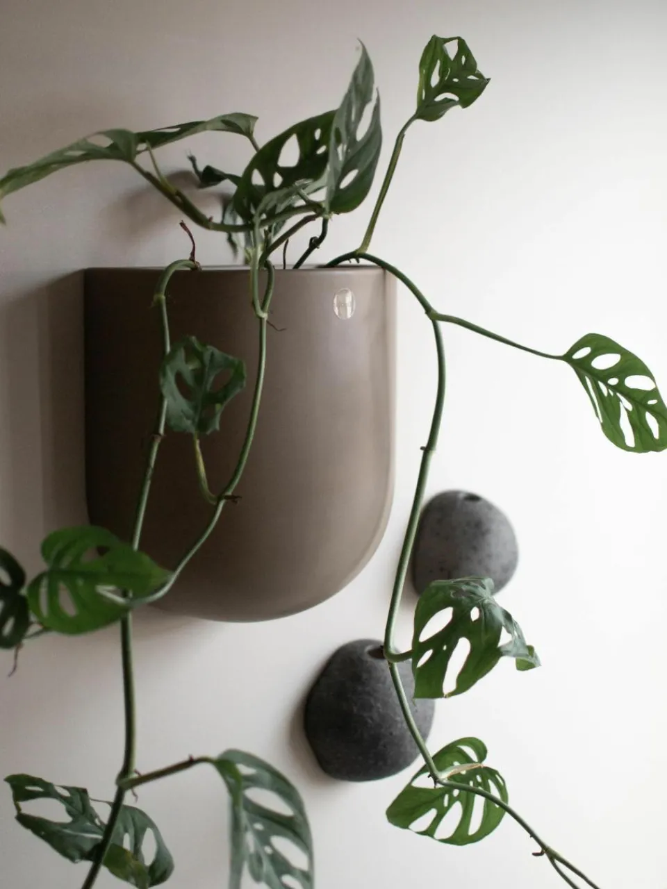 Wandplantenpot Cut, B 21 cm^DBKD Discount