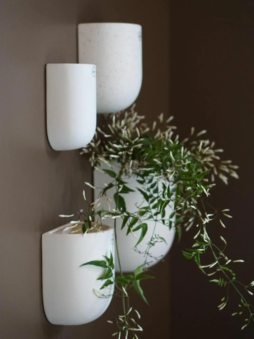 Wandplantenpot Cut, B 21 cm^DBKD Outlet